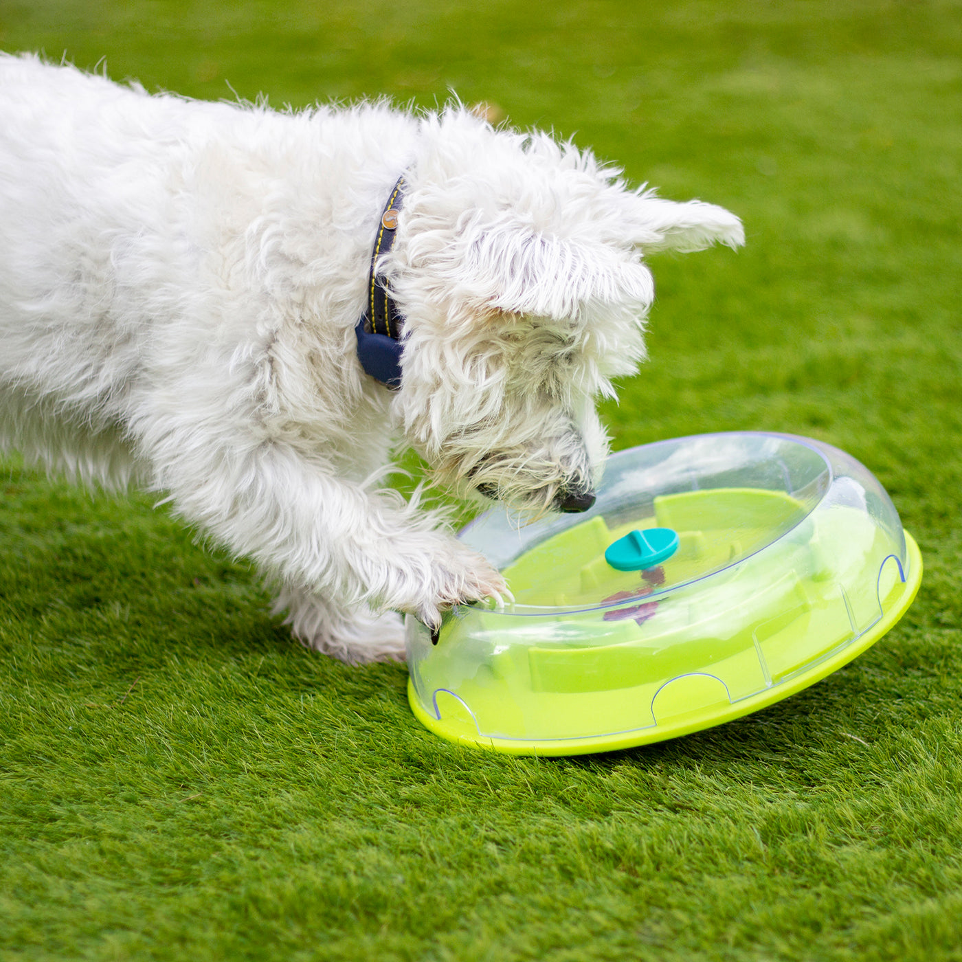 Wobble Bowl Interactive Slow Feeder Dog Game