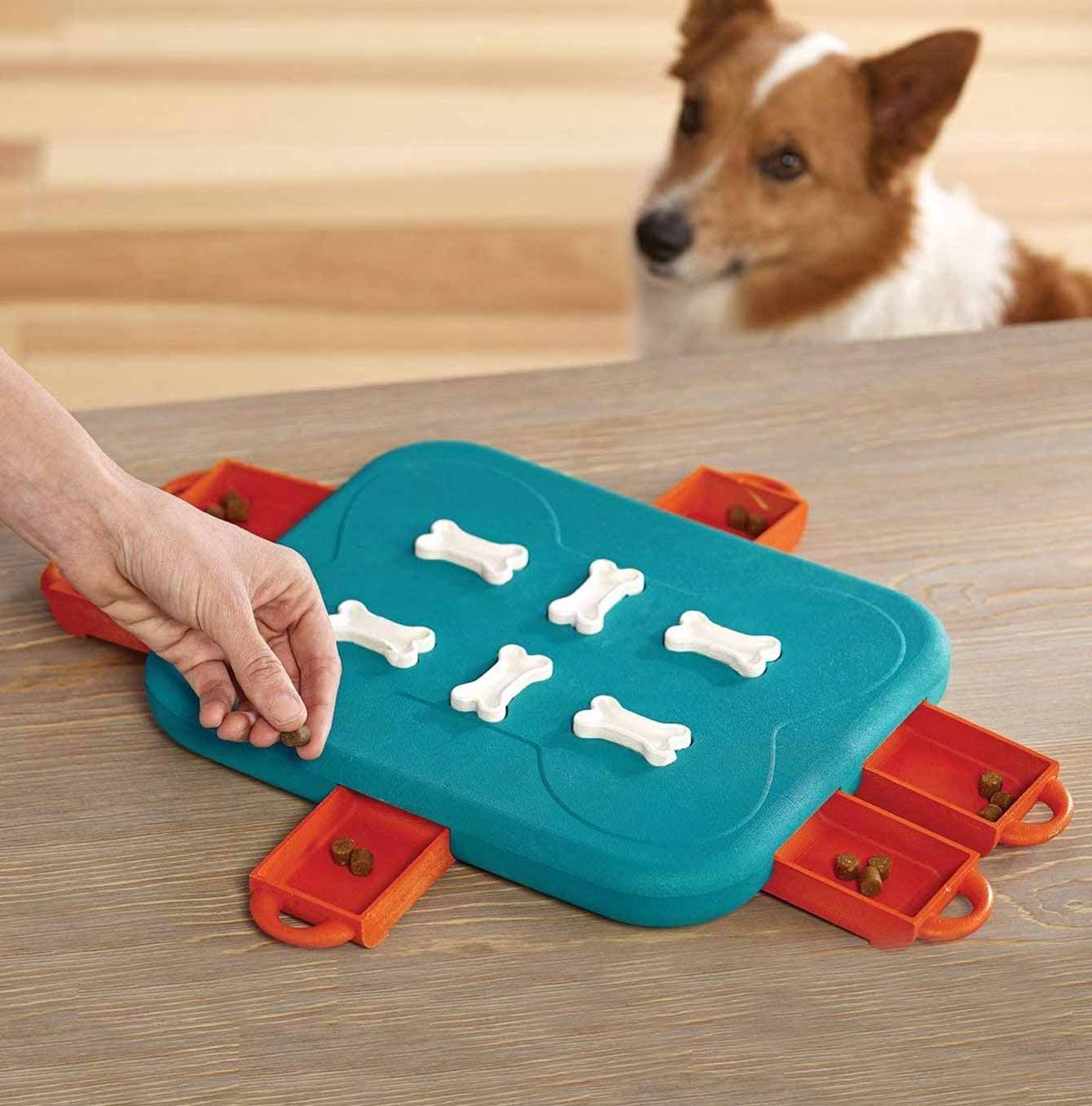 nina-ottosson-dog-casino-puzzle